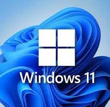 Windows 11 Pro Download